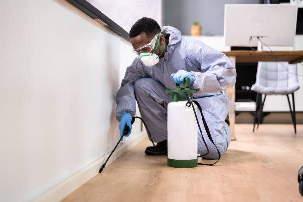 Trusted Sussex, WI Pest Control Experts